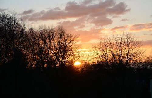 Leśna 6 - House with a garden - Foto 43