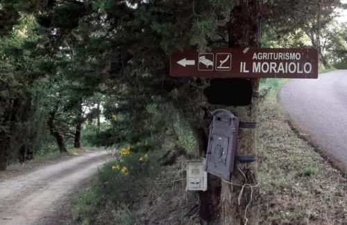 Il Moraiolo - Idromassaggio & Sauna con vista! - Foto 10