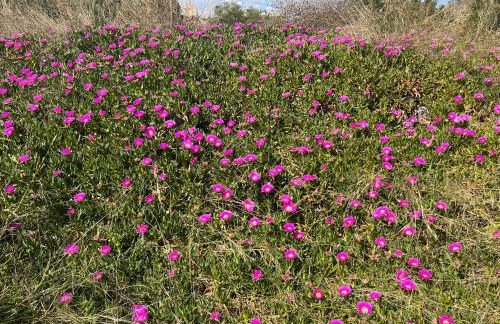 Saint James Park downstairs - Foto 7