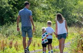 Silver Birches - Foto 43