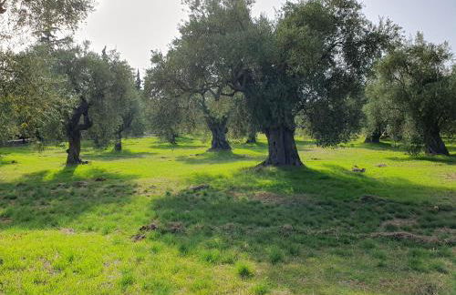 Villa Panorama Garden Chorto - Foto 26