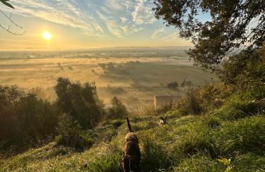 Villa Monteleone - Foto 8