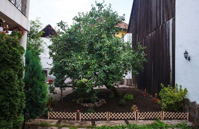 Villa Cristiani - Foto 33