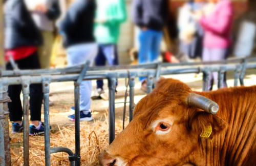 Biobagnolese Agriturismo - Foto 60