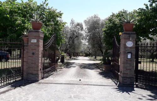 Casa Sabbatini - Foto 15