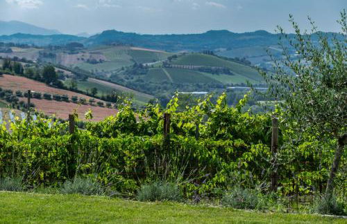 AGRITURISMO SAN NICOLINO - Foto 51