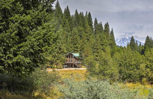 13 Mi to Mt Shasta Log Home on 60 Acres! - Foto 35