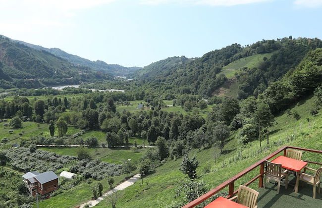 Green Hill Pension - Foto 11