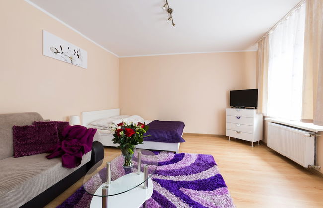 Aparthouse Apartamenty Sosnowiec - Photo 12