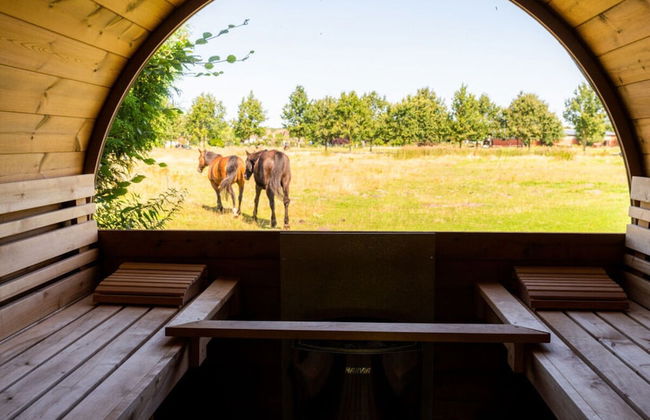 Anchorage Darss Modern Retreat - Foto 17