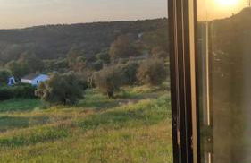 Nova Quinta Moderna TORRAMO em Oliveiras, Campo de Laranjas, na Nacional 2, Alentejo 13750 m2 - Foto 55