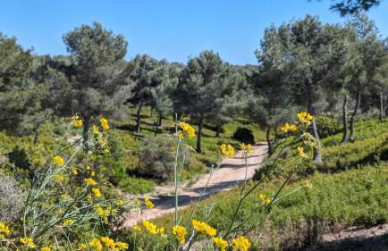 2 Pièces 45m2, Calme, Confort, Mer à 200m, Jardin, Terrasse, Piscine - Foto 48