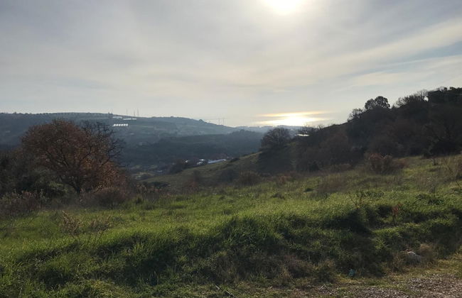 I Cardinali - Foto 37