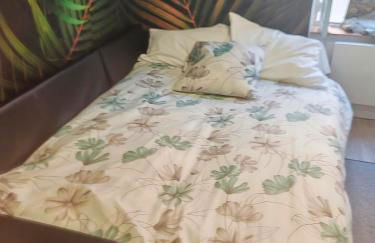 Bulle tropicale jungle - Foto 16