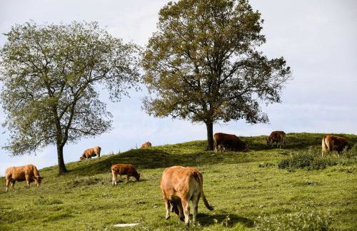 EL SERRADELL AGROTURISME - Foto 39