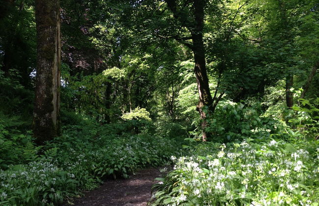 Charming Yurt in Kelburn Estate Near Largs - Foto 12