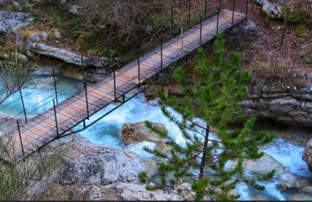 La Salamandre de l Olivier - le Mimosa - Foto 23