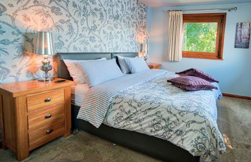 Arenig - Bala Lake - Foto 8