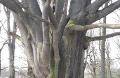 Appartement 105 - Foto 17