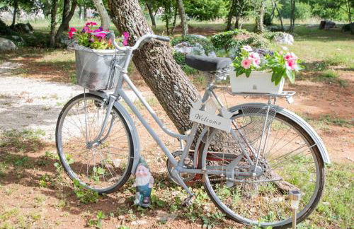 Apartment Eden in peaceful area near center - Foto 23