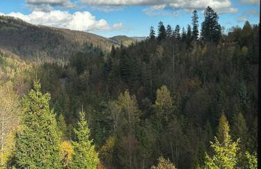 Domek w Szczyrku sauna & balia - Foto 45