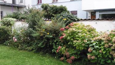 Altstadt Bonn mit eigenem Parkplatz und Garten - Foto 3