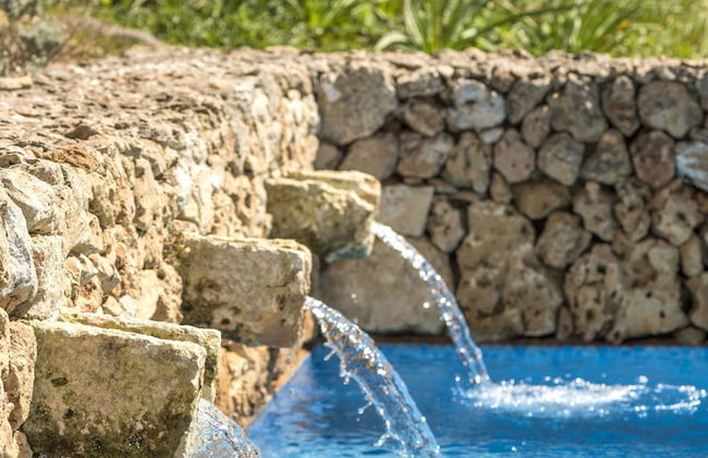 Finca Ses Curtanetes - Foto 26