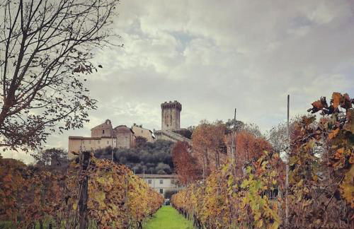 Il Rustico Vicopisano - Foto 15