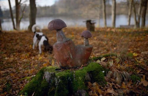 Park Wilkasy - Foto 64