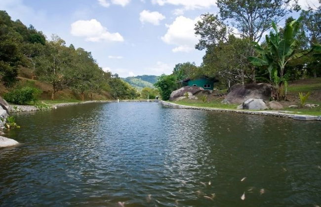 Tanah Aina Farouq - Foto 19