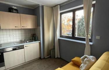 Near Frankfurt +32 pinball, arcade, billiard,Dart - Foto 28