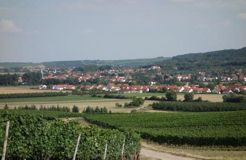 Antjes Ferienwohnung Flonheim - Foto 18