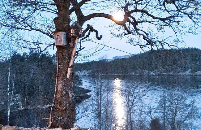 8 Person Holiday Home in Masfjordnes-by Traum - Foto 17