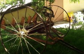 Agriturismo Il Casale Degli Amici - Foto 50