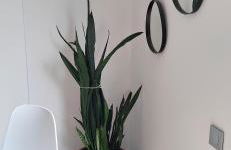 Hafida's Dream - Foto 9