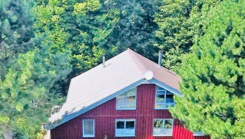 Premium-Ferienhaus Extertal Ferienpark - Natur Erholung Sauna Familie - Photo 4