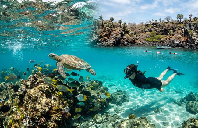 Snorkeling sur l’île de Santa Fé et Playa Escondida - Photo 2