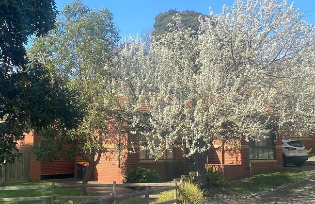 Mt Waverley Townhouses - Foto 27