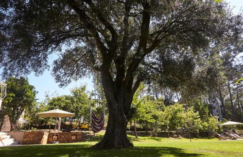 Casa da Oliveira - Foto 9