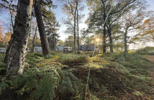 Tierpark Entdeckerhäuser - Foto 33