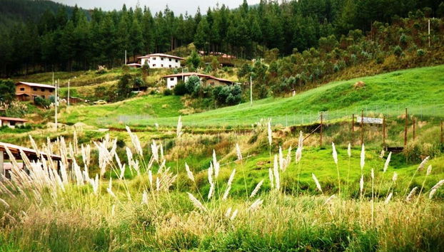 Escursione alla fattoria Porcón e Huambocancha - Foto 2