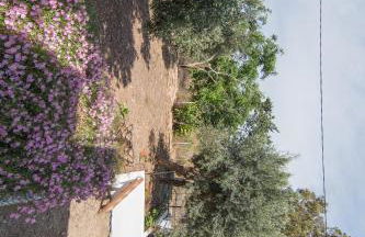 Grameno Apartments - Photo 21