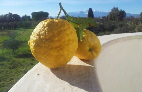 Il Leone Rosso over the hills of the Trabocchi - Foto 58