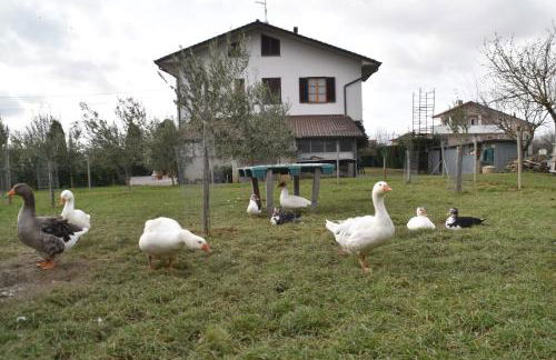 Villa Gaia Truffle Experience - Photo 40