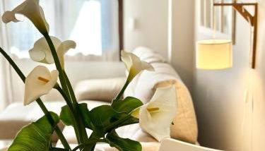 Apartamentos Noja Playa - Foto 5