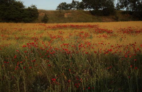 El Horno de Leopoldo - Foto 36