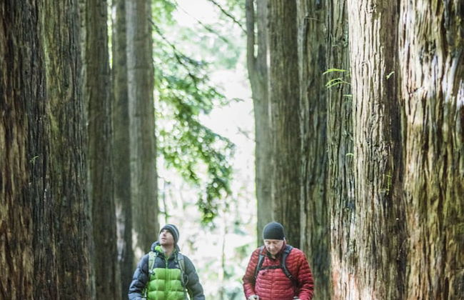 Alkina Lodge - Foto 29