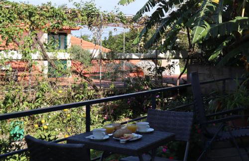 Casa do Tio Albino II, By OP - Foto 5