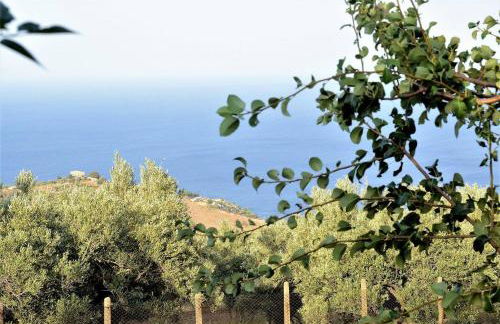 Residence Cassiodoro - Photo 23