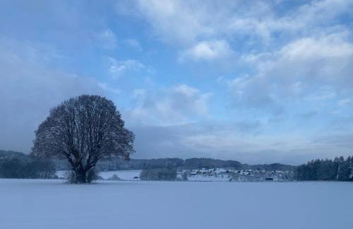 Kleine Ferienwohnung auf dem Land, Haus Hans Stepha - Foto 7